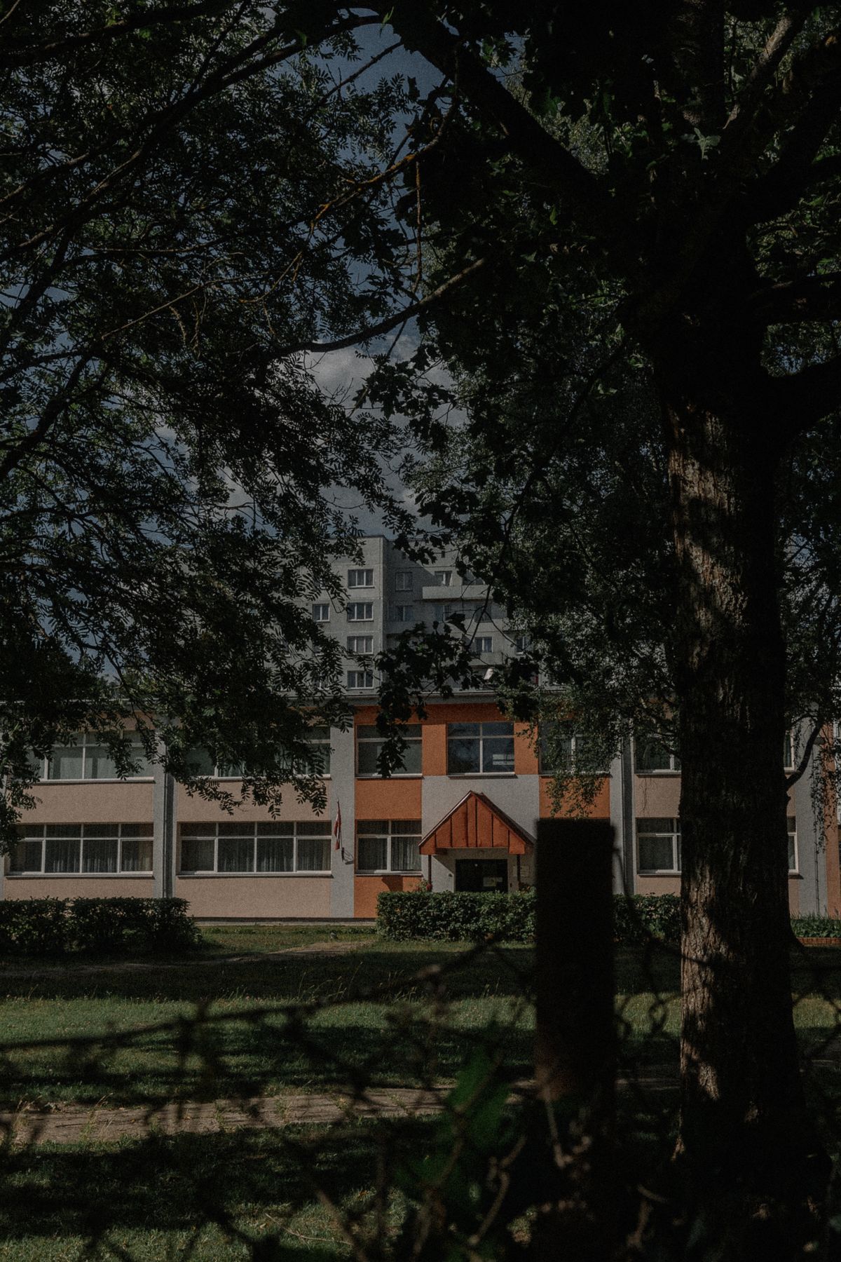 School building framed by trees under a clear sky